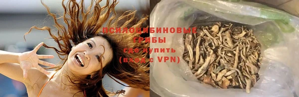 ГАЛЛЮЦИНОГЕННЫЕ ГРИБЫ Кукмор