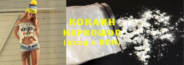ГАЛЛЮЦИНОГЕННЫЕ ГРИБЫ Кукмор