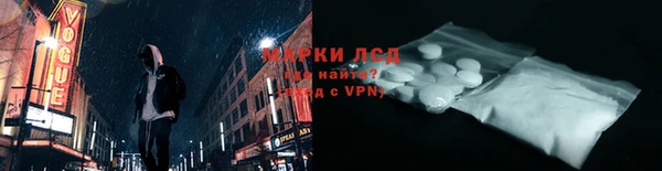 ГАЛЛЮЦИНОГЕННЫЕ ГРИБЫ Кукмор