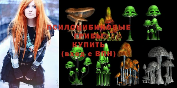 эйфоретик Куйбышев