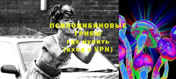 ГАЛЛЮЦИНОГЕННЫЕ ГРИБЫ Кукмор