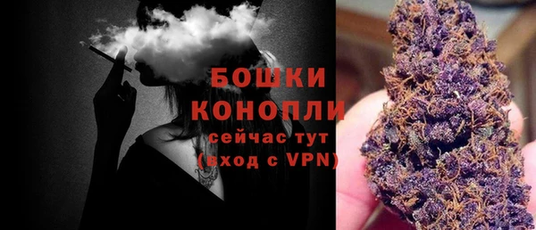 дурь Кулебаки