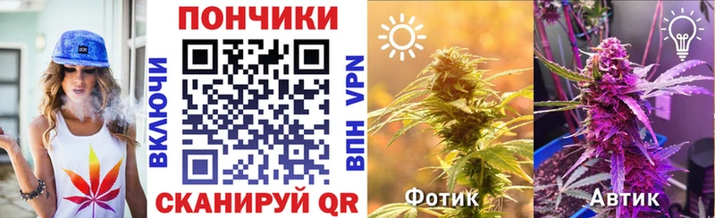Конопля план  Купить закладки  Яхрома 